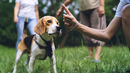 실수는 절대 용서 못해!