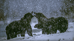 긴 여행의 도중