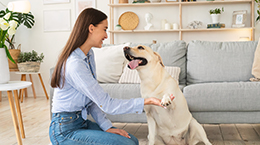 당신이 원하는 대로 따를게요