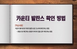 카운터 발란스 확인 방법