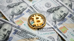 디파이 VS 시파이의 차이점과 전망