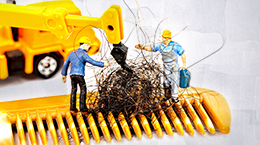 자꾸 커지는 너의 빈자리, 탈모