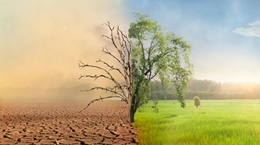 결핍이 우리를 강하게 만든다