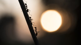 무엇을 위해 일을 하는지 물으면