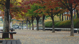 한 것도 없이 또 한 해가 지나갑니다