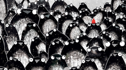 도전을 망설이는 그대에게