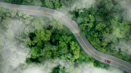 탄소중립을 위해 가야만 하는 길