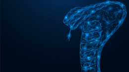 푸른 뱀의 해, 한국 경제의 미래를 보다