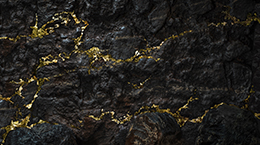 당신만의 광맥을 캐라